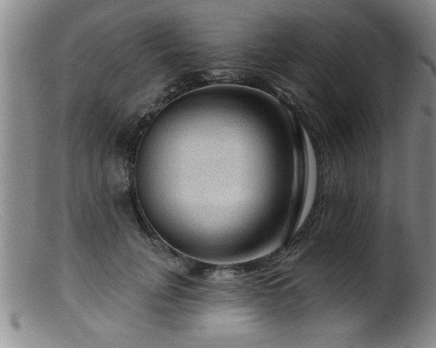 X0000099450751200805161022