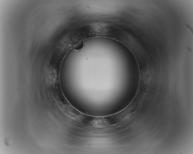 X0000099450752200805161022