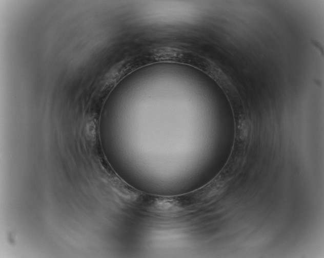 X0000099450753200805161022