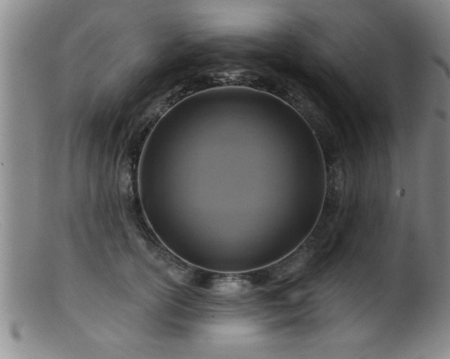 X0000099450754200805161022