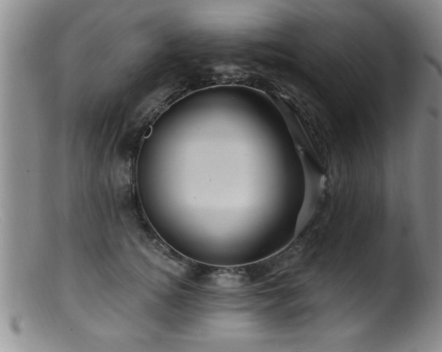 X0000099450756200805161022