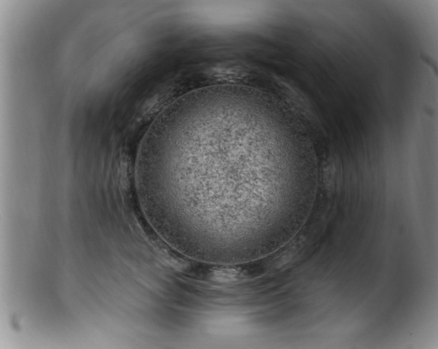 X0000099450757200805161022