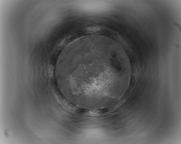 X0000099450758200805161022