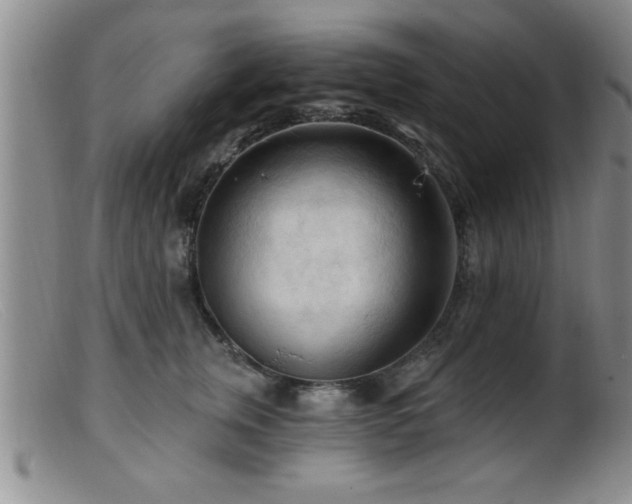 X0000099450759200805161022