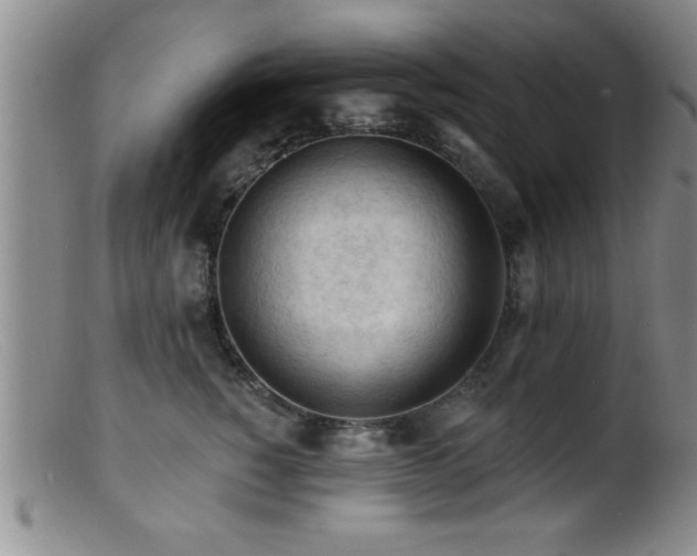 X0000099450760200805161022