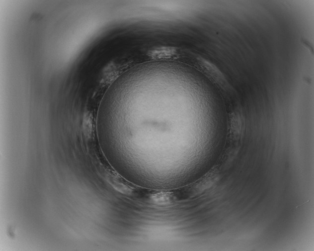 X0000099450761200805161022