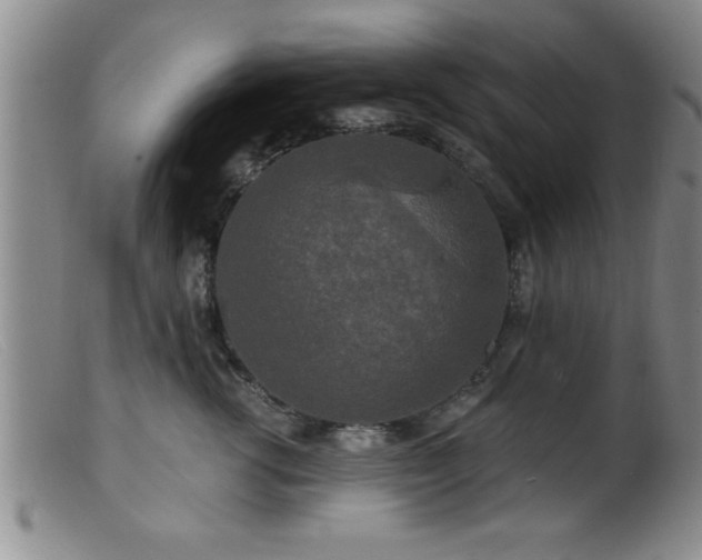 X0000099450762200805161022