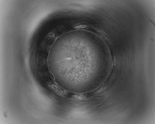 X0000099450763200805161022