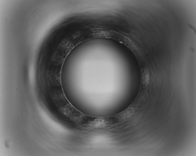 X0000099450764200805161022