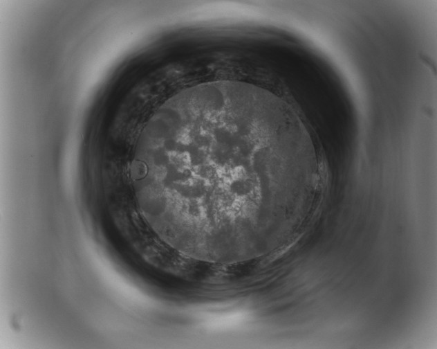 X0000099450765200805161022