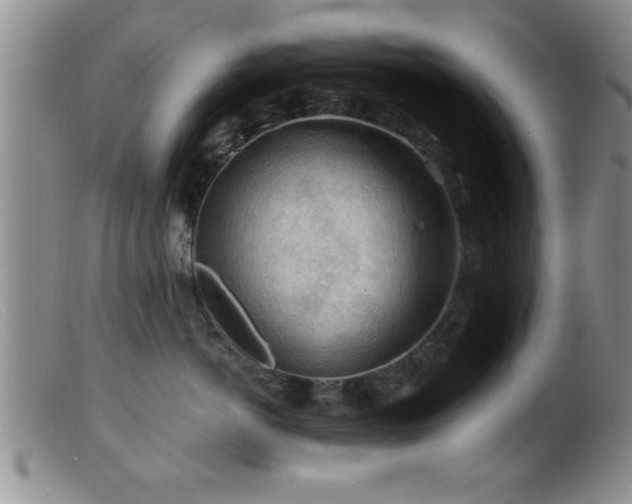 X0000099450766200805161022