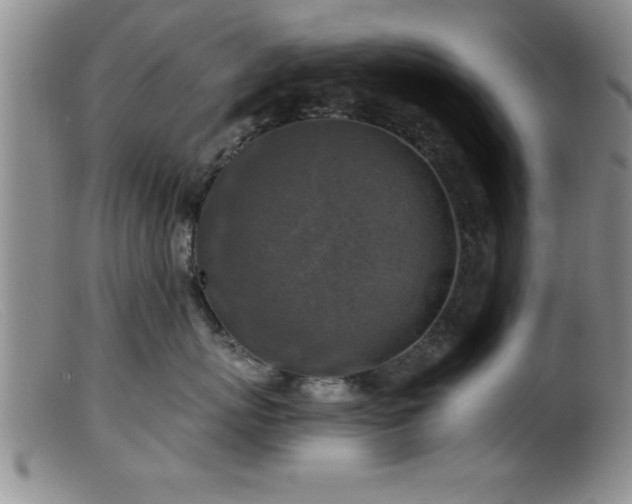 X0000099450767200805161022