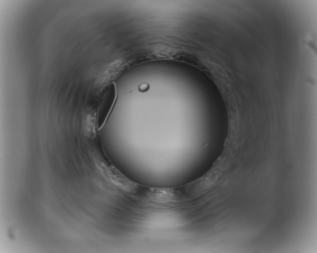 X0000099450768200805161022