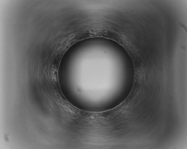 X0000099450770200805161021