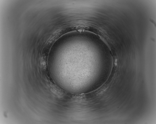 X0000099450771200805161021