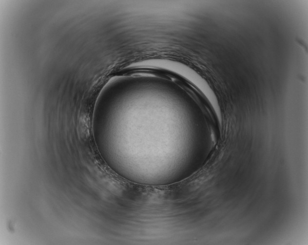 X0000099450772200805161021