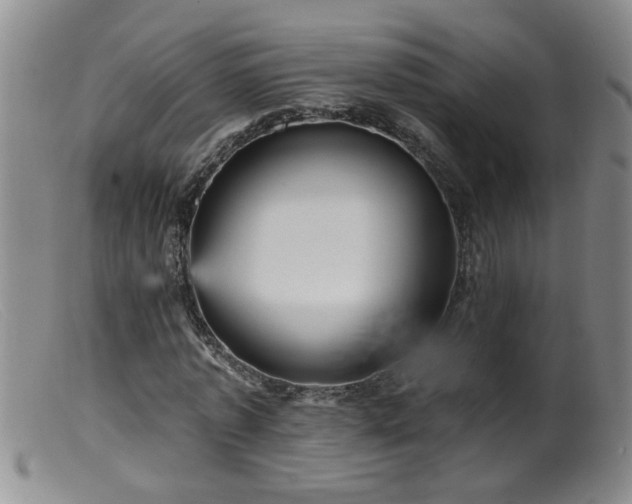 X0000099450773200805161021