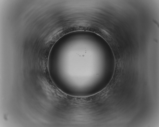 X0000099450774200805161021