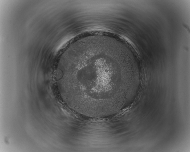 X0000099450775200805161021