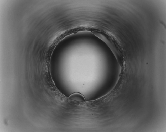 X0000099450776200805161021