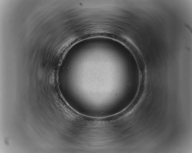 X0000099450777200805161021