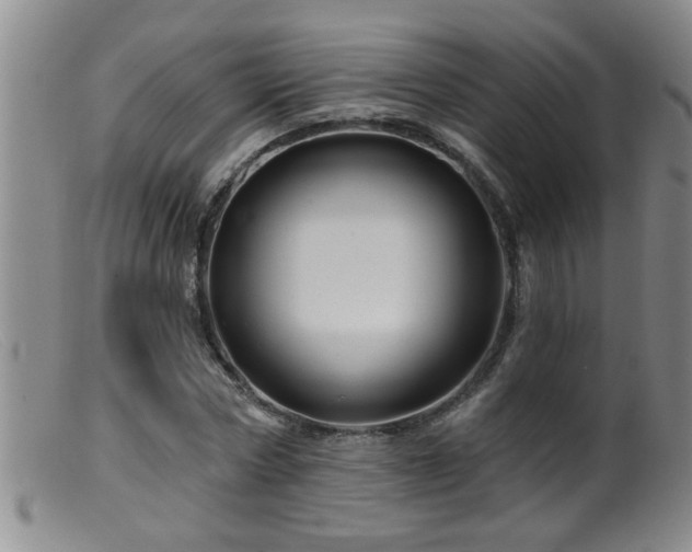 X0000099450778200805161021