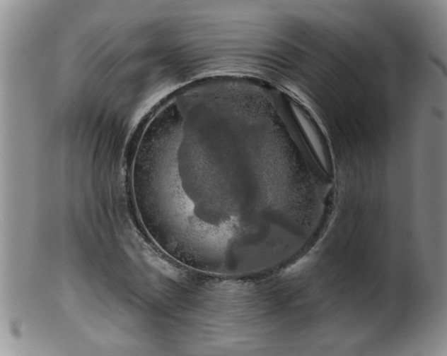 X0000099450779200805161021