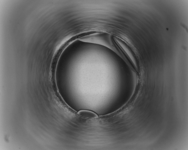 X0000099450780200805161021