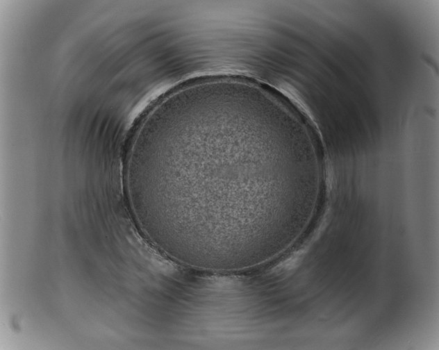 X0000099450781200805161021