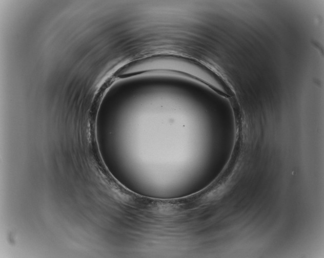 X0000099450782200805161021