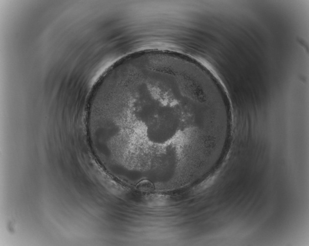 X0000099450783200805161021