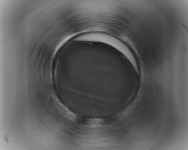 X0000099450784200805161021