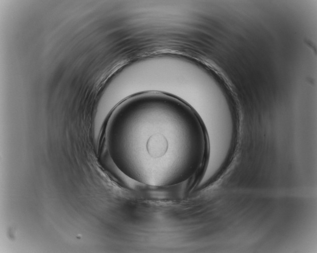 X0000099450785200805161021