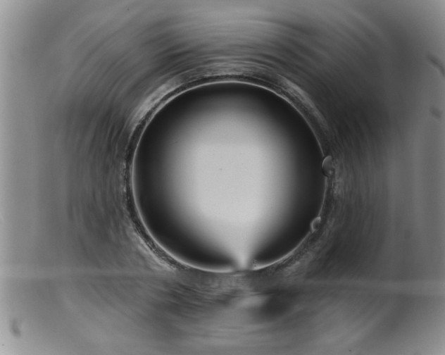 X0000099450786200805161021