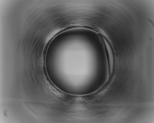 X0000099450787200805161021