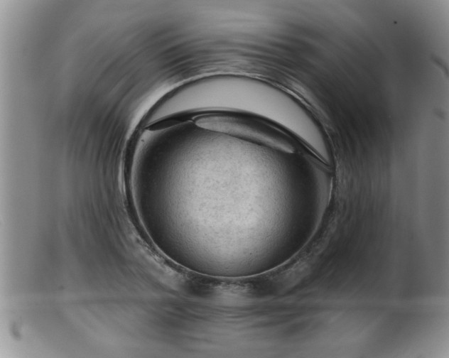 X0000099450788200805161021