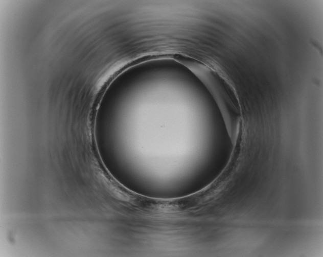 X0000099450789200805161021