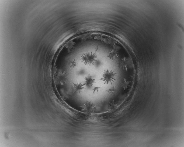 X0000099450790200805161021