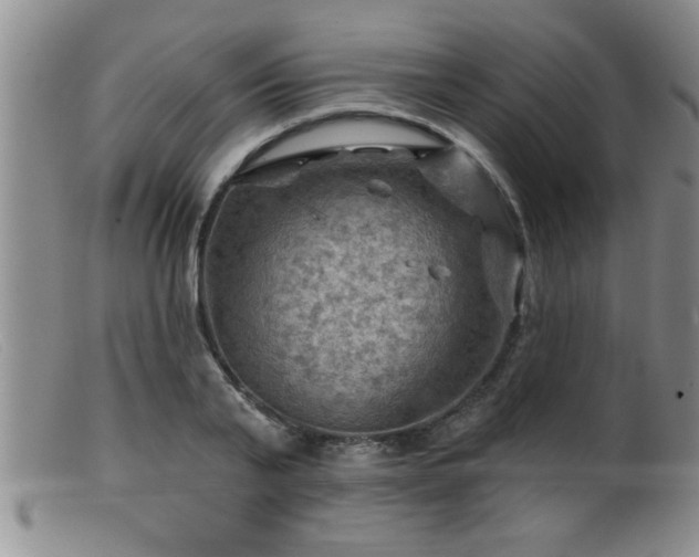 X0000099450791200805161021