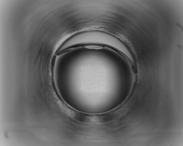 X0000099450792200805161021