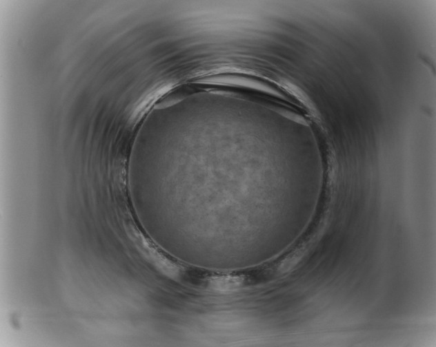 X0000099450793200805161021