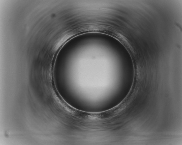 X0000099450794200805161021