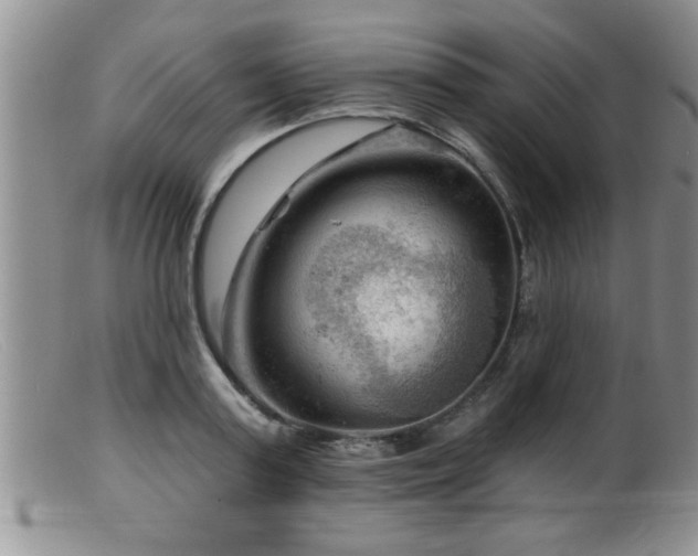 X0000099450795200805161021