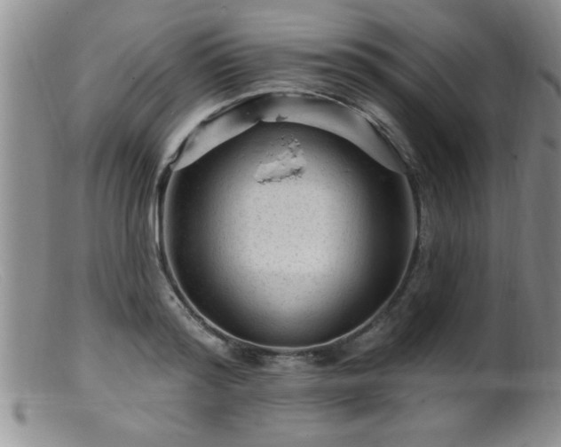 X0000099450796200805161021