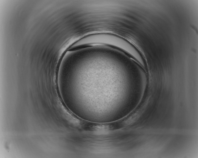 X0000099450797200805161021