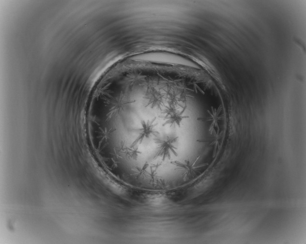 X0000099450798200805161021