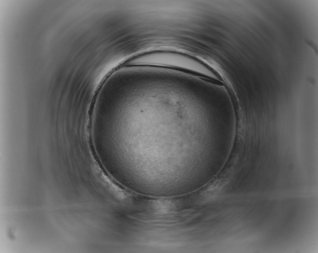 X0000099450799200805161021