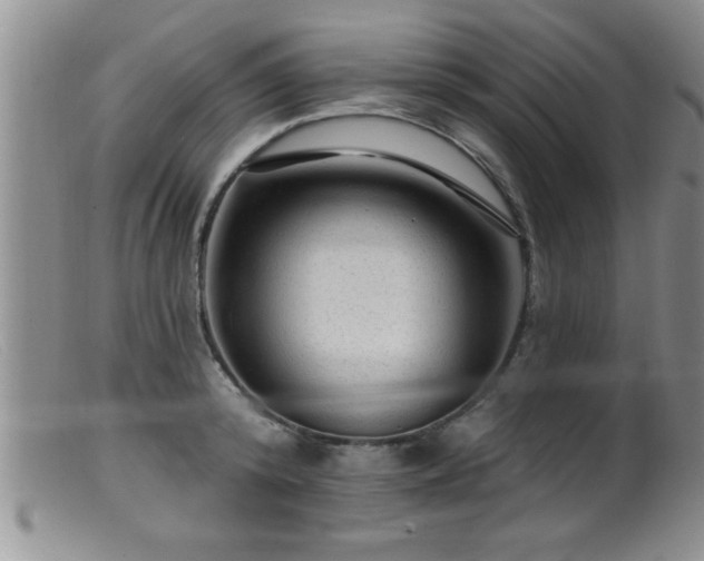 X0000099450800200805161021