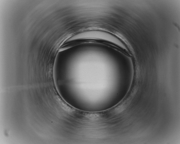 X0000099450801200805161021