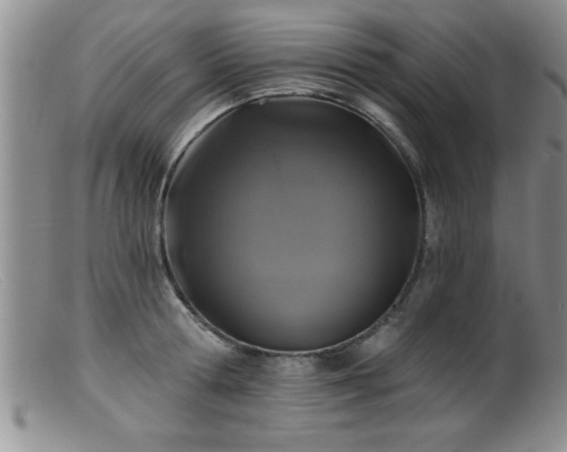 X0000099450802200805161021